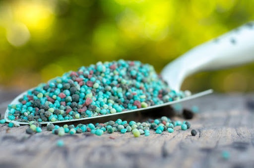 Монофосфат калію для томатів дозування