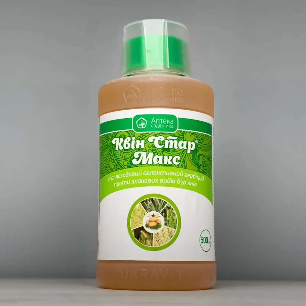 Квін стар макс