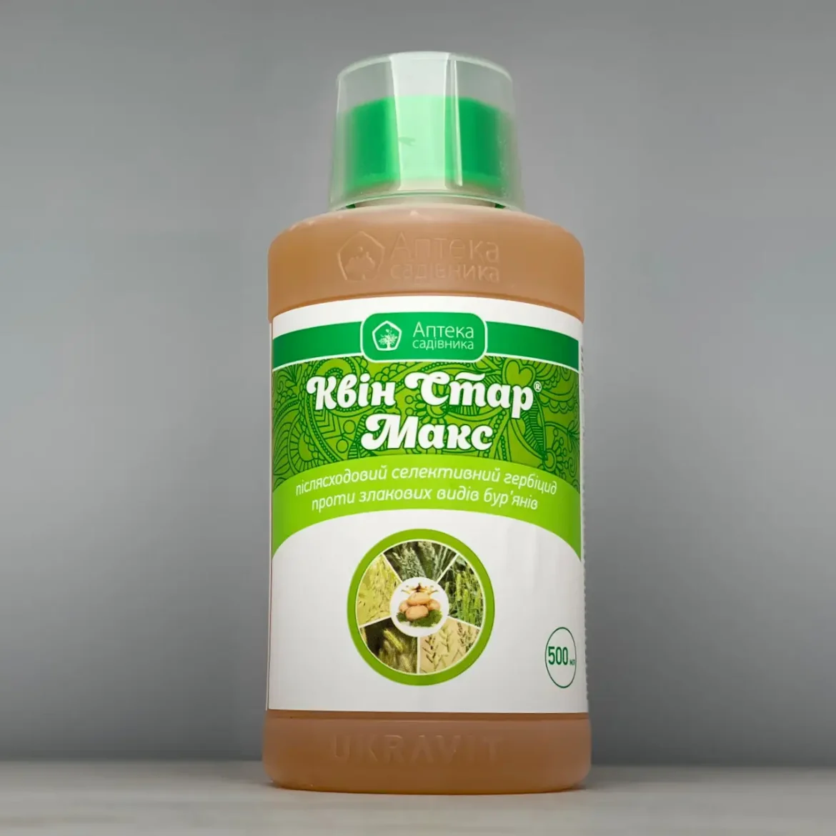 Квін стар макс