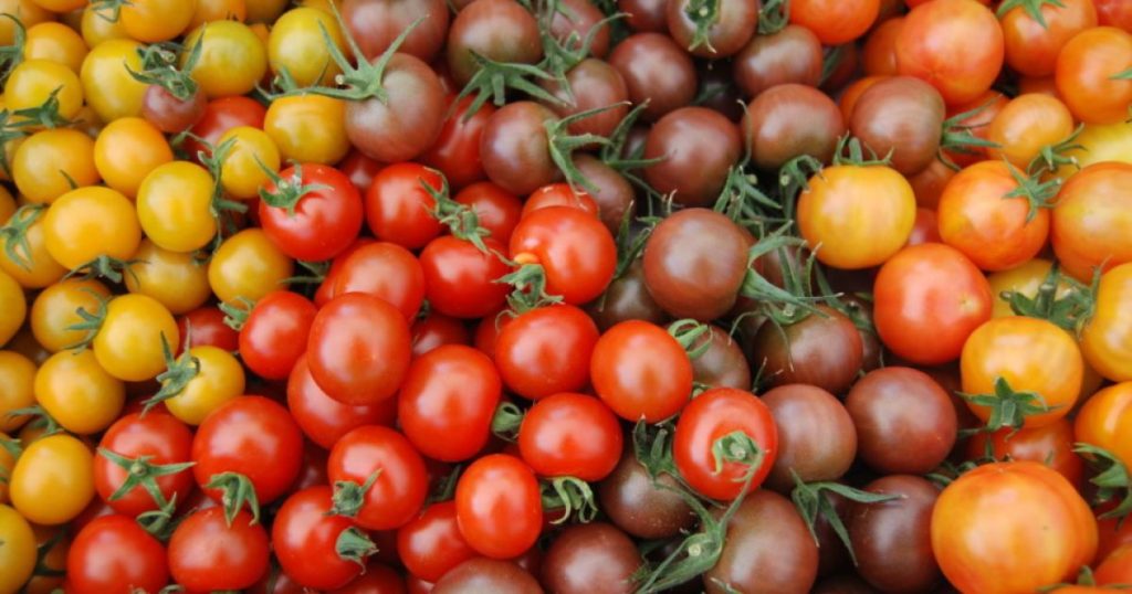 Помідори користь та шкода