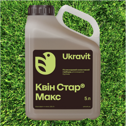 Квін стар макс